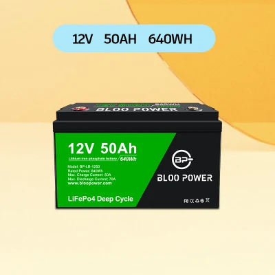 Bloopower Système de panneaux solaires sans entretien Alimentation LiFePO4 pour panneau d'affichage extérieur Caisson lumineux intérieur Publicité Batterie au lithium de secours pour famille