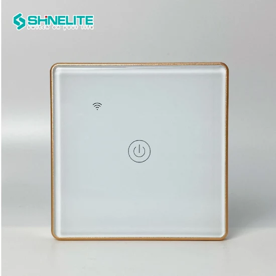 Alexa WiFi Switch Système de contrôle d'éclairage mural 1 Gang WiFi Smart Switch